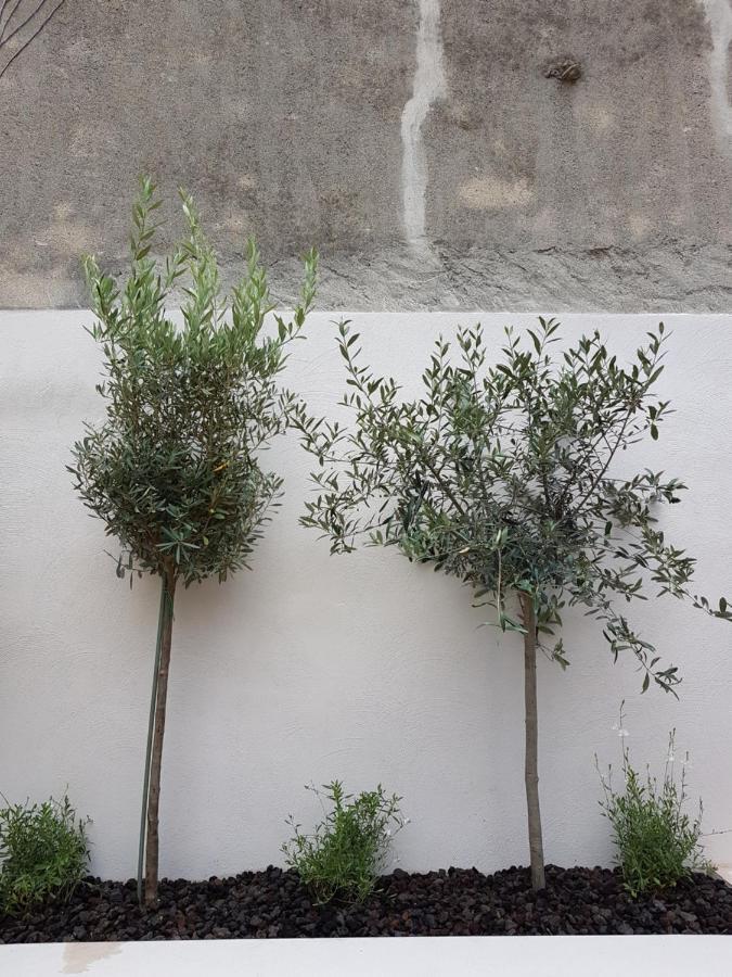 Maison Vue Cite 2 Carcassonne Ngoại thất bức ảnh